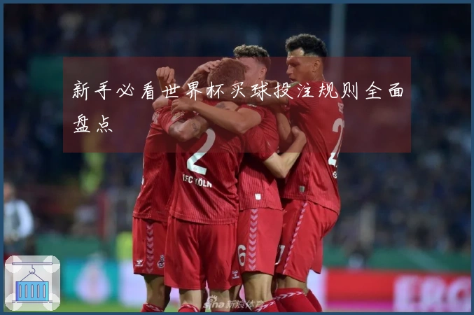 新手必看世界杯买球投注规则全面盘点
