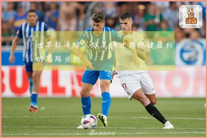 世界杯滚球买球怎样才能稳健盈利的思路分析
