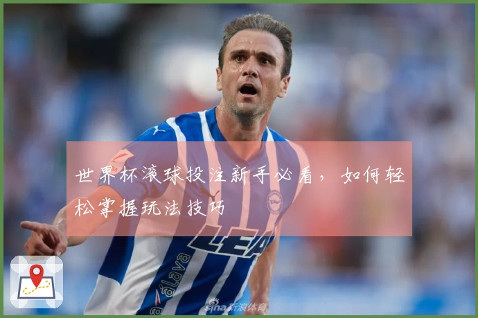 世界杯滚球投注新手必看，如何轻松掌握玩法技巧