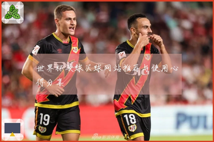 世界杯滚球买球网站推荐与使用心得分享