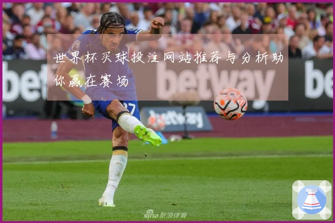 世界杯买球投注网站推荐与分析助你赢在赛场