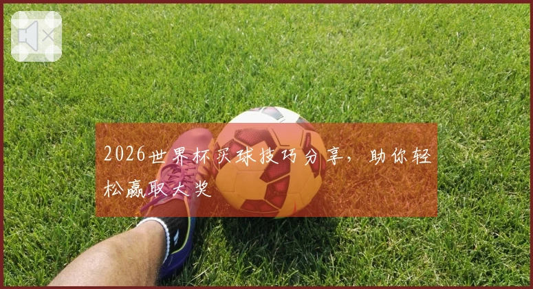 2026世界杯买球技巧分享，助你轻松赢取大奖